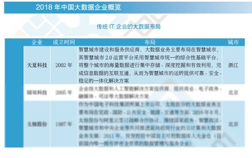 2018中國(guó)大數(shù)據(jù)企業(yè)報(bào)告出爐，天夏科技榮登IT企業(yè)大數(shù)據(jù)布局榜信息系統(tǒng)集成服務(wù)領(lǐng)域